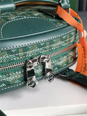 Goyard Saint Jeanne Medium Bowling Bag Green