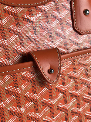 Goyard Saint Jeanne Large Bowling Bag Orange