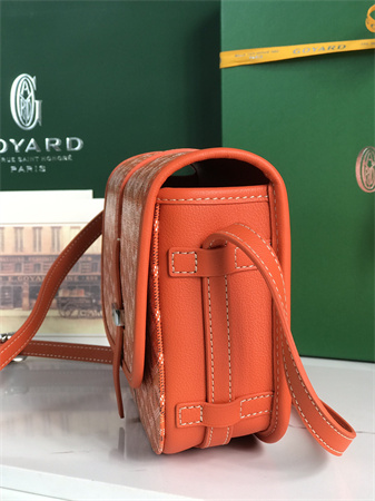 Belvedere PM Bag Goyardine Canvas & Decize Taurillon Leather Orange