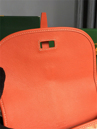 Belvedere PM Bag Goyardine Canvas & Decize Taurillon Leather Orange