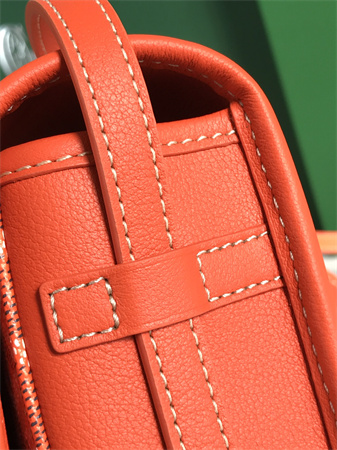 Belvedere PM Bag Goyardine Canvas & Decize Taurillon Leather Orange