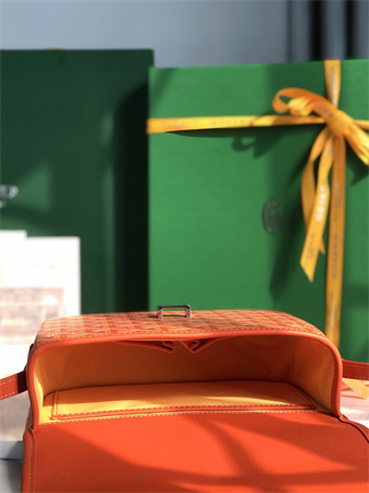 Belvedere PM Bag Goyardine Canvas & Decize Taurillon Leather Orange