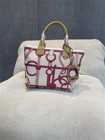 Her.mes Steeple Handbag Hplume Canvas and Swift Calfskin multicolor Printing HS