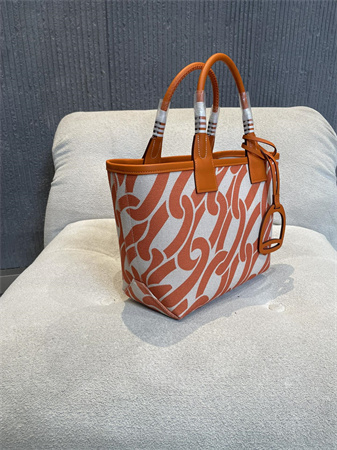 Her.mes Steeple Handbag Hplume Canvas and Swift Calfskin multicolor Printing HS