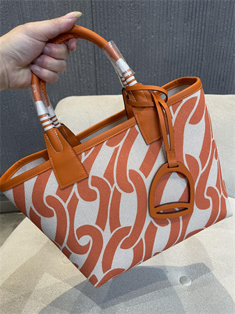 Her.mes Steeple Handbag Hplume Canvas and Swift Calfskin multicolor Printing HS