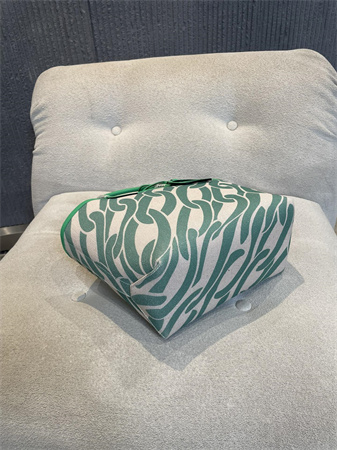 Her.mes Steeple Handbag Hplume Canvas and Swift Calfskin multicolor Printing HS