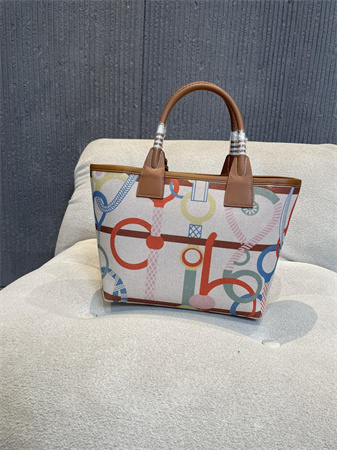 Her.mes Steeple Handbag Hplume Canvas and Swift Calfskin multicolor Printing HS
