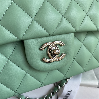 Chanel Medium Classic Flap Bag Lambskin Silver Tone Metal Lt Green 01112