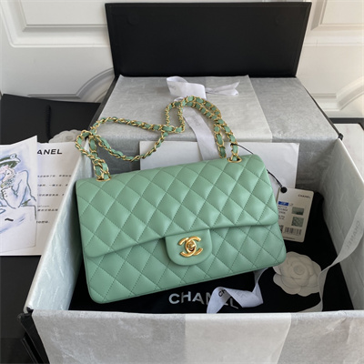 Chanel Medium Classic Flap Bag Lambskin Gold Tone Metal Lt Green 01112