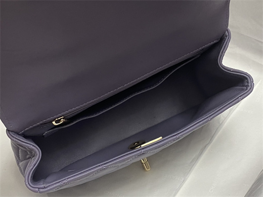 Chanel Mini Flap Bag With Top Handle Shinny Lambskin Gold Tone Metal Lt Purple AS4924