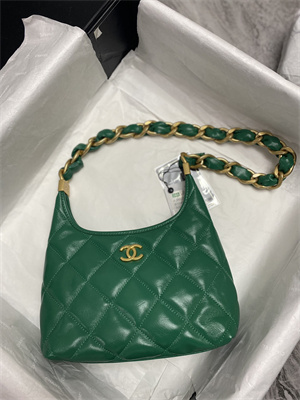 Chanel Small Hobo Bag Shiny Lambskin Gold Tone Metal Green AS4922