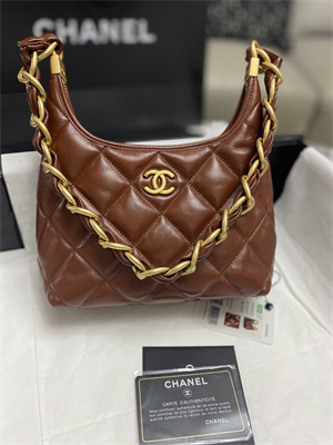 Chanel Small Hobo Bag Shiny Lambskin Gold Tone Metal Brown AS4922