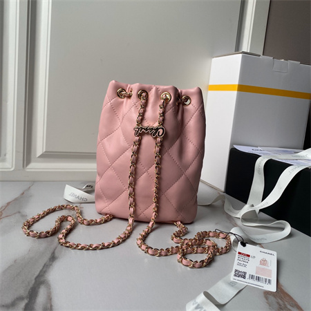Chanel Backpack Shiny Lambskin Gold Tone Metal Pink AS4810