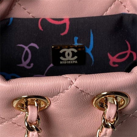 Chanel Backpack Shiny Lambskin Gold Tone Metal Pink AS4810