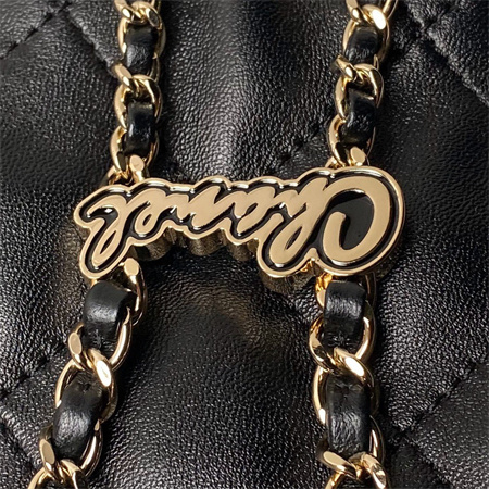 Chanel Backpack Shiny Lambskin Gold Tone Metal Black AS4810