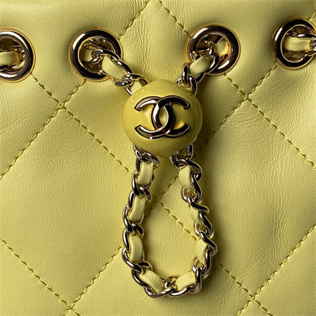 Chanel Backpack Shiny Lambskin Gold Tone Metal Yellow AS4810