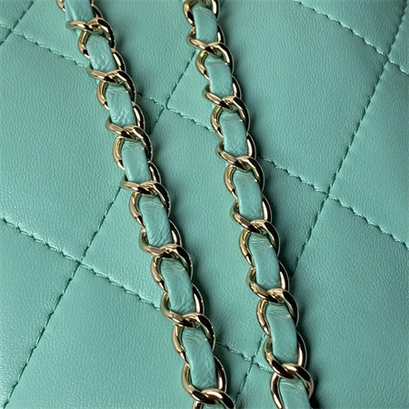 Chanel Backpack Shiny Lambskin Gold Tone Metal Green AS4810