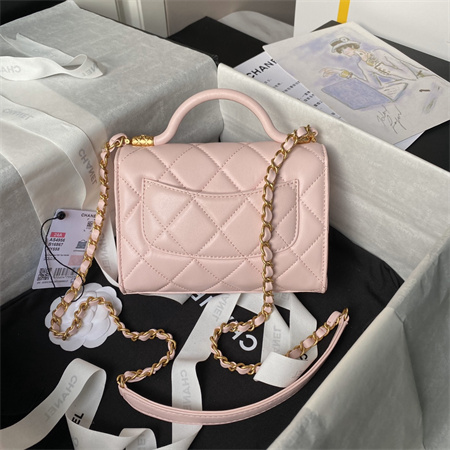 Chanel Mini Flap Bag With Top Handle Lambskin Gold Tone Metal Pink AS4956