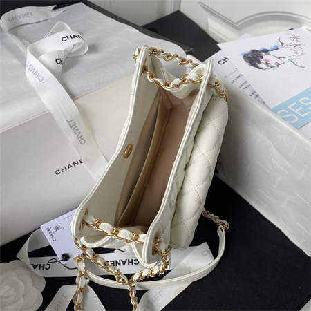 Chanel Small Hobo Bag Grained Calfskin Gold Tone Metal White AS3710