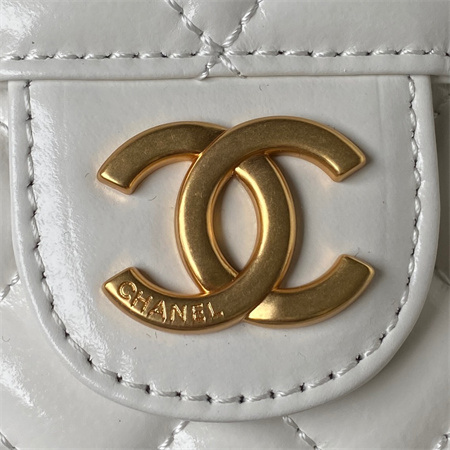 Chanel Small Hobo Bag Shinny Calfskin Gold Tone Metal White AS3710