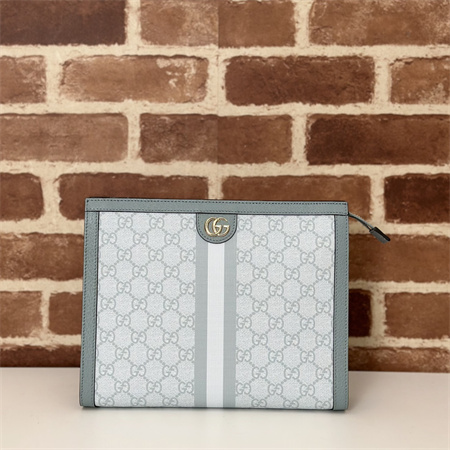 Gu.cci Ophidia GG Pouch Supreme Canvas Grey Blue 625549