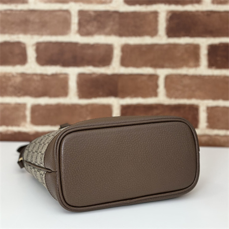 Gucci OPHIDIA MINI TOTE BAG 811716