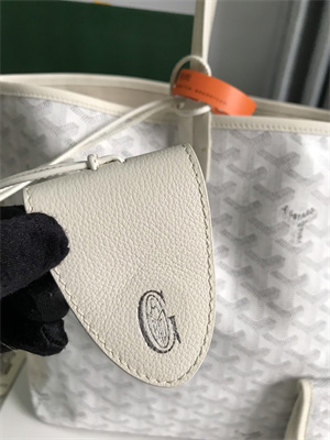 Goyard Saint Louis PM Bag In Goyardine Canvas & Chevroches Calfskin