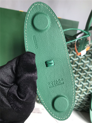 Goyard Saint Louis PM Bag In Goyardine Canvas & Chevroches Calfskin