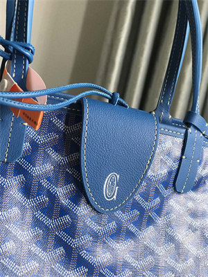 Goyard Saint Louis PM Bag In Goyardine Canvas & Chevroches Calfskin