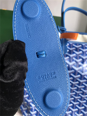 Goyard Saint Louis PM Bag In Goyardine Canvas & Chevroches Calfskin