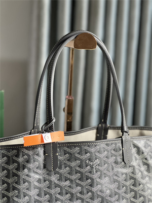 Goyard Saint Louis PM Bag In Goyardine Canvas & Chevroches Calfskin