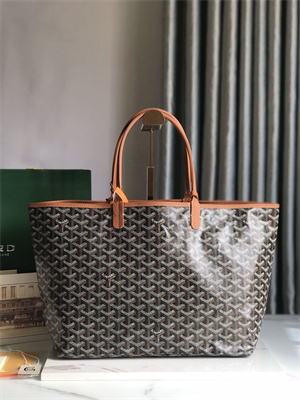 Goyard Saint Louis PM Bag In Goyardine Canvas & Chevroches Calfskin