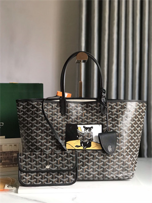 Goyard Saint Louis PM Bag In Goyardine Canvas & Chevroches Calfskin