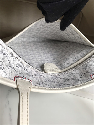 Goyard Artois PM Bag Goyardine Canvas & Chevroches Calfskin