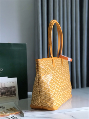 Goyard Artois PM Bag Goyardine Canvas & Chevroches Calfskin