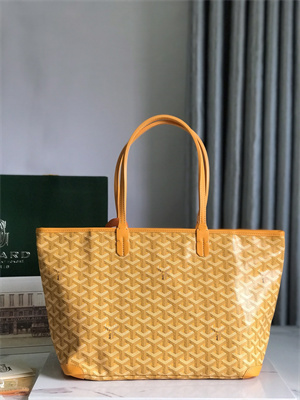 Goyard Artois PM Bag Goyardine Canvas & Chevroches Calfskin