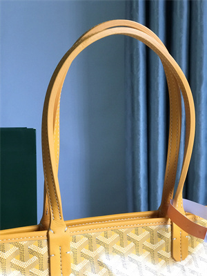 Goyard Artois PM Bag Goyardine Canvas & Chevroches Calfskin