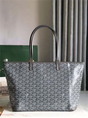 Goyard Artois PM Bag Goyardine Canvas & Chevroches Calfskin