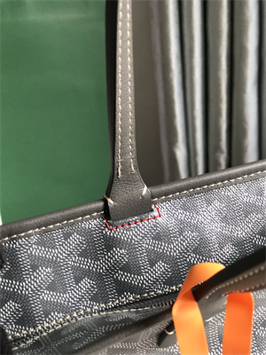 Goyard Artois PM Bag Goyardine Canvas & Chevroches Calfskin
