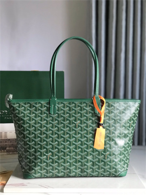 Goyard Artois PM Bag Goyardine Canvas & Chevroches Calfskin