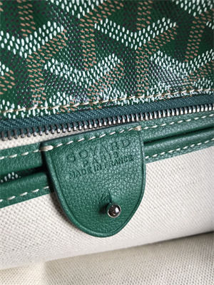 Goyard Artois PM Bag Goyardine Canvas & Chevroches Calfskin