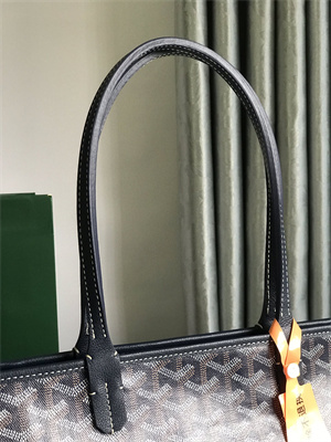 Goyard Artois PM Bag Goyardine Canvas & Chevroches Calfskin