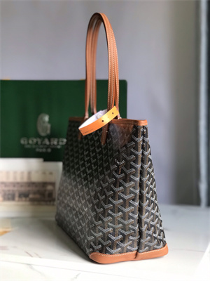 Goyard Artois PM Bag Goyardine Canvas & Chevroches Calfskin