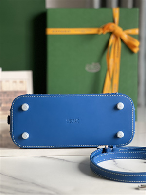 Goyard Vendome Mini Bag In Goyardine Canvas & Chevroches Calfskin