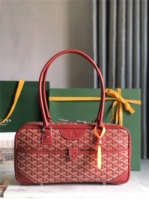 Goyard Saint Martin Handbag In Goyardine Canvas & Chevroches Calfskin