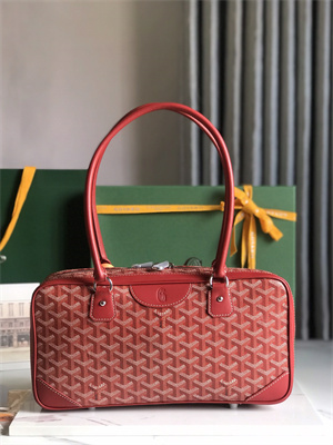 Goyard Saint Martin Handbag In Goyardine Canvas & Chevroches Calfskin