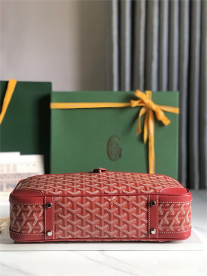Goyard Saint Martin Handbag In Goyardine Canvas & Chevroches Calfskin