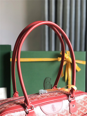 Goyard Saint Martin Handbag In Goyardine Canvas & Chevroches Calfskin