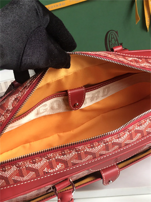 Goyard Saint Martin Handbag In Goyardine Canvas & Chevroches Calfskin