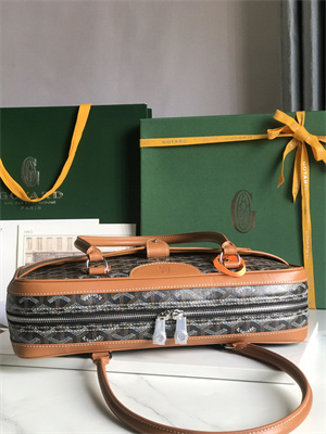 Goyard Saint Martin Handbag In Goyardine Canvas & Chevroches Calfskin